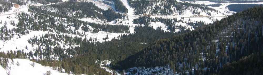 View from the top