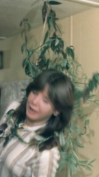 1983 The Attack Plant