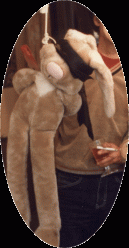 1983 Wabbit