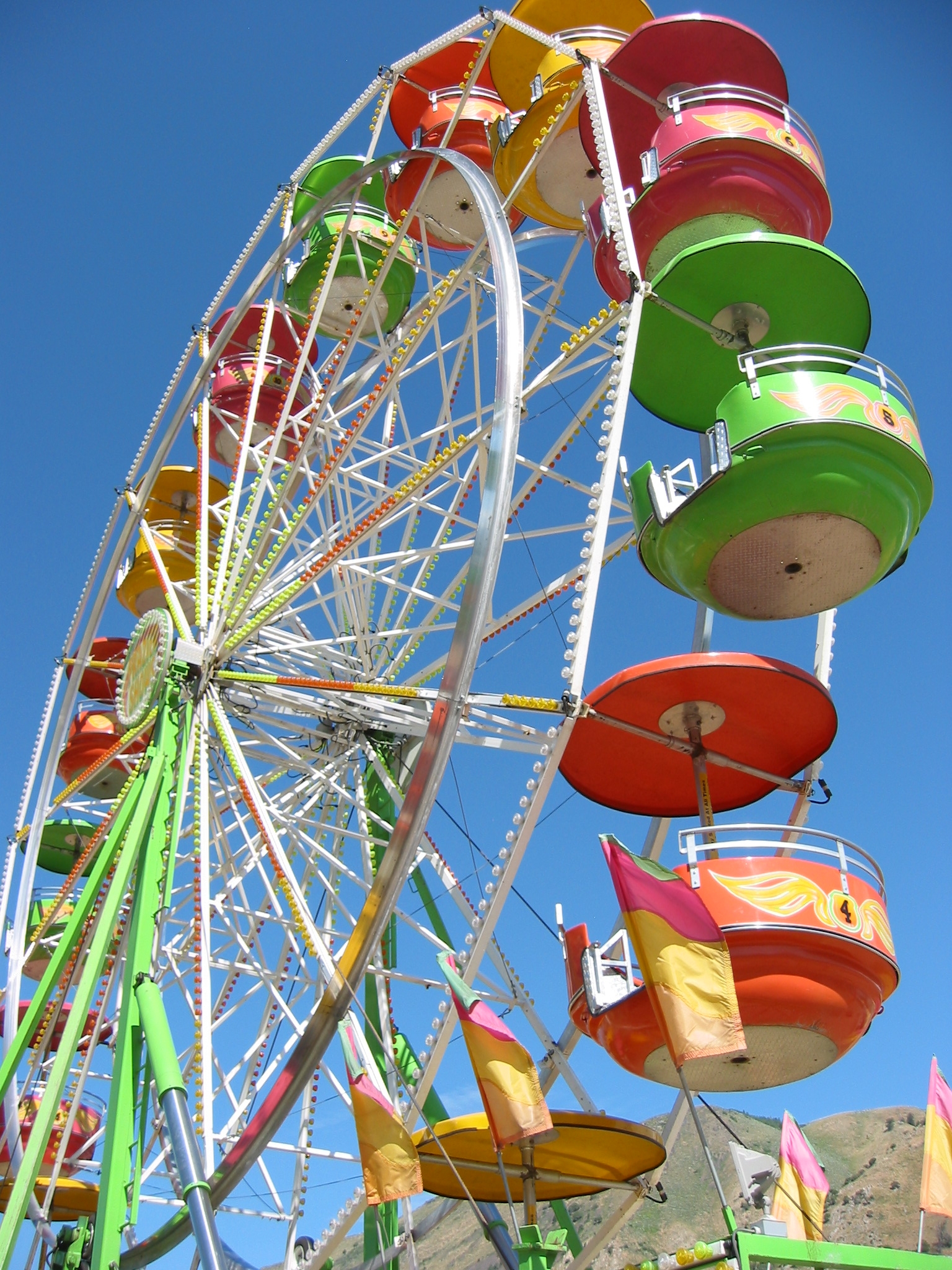 Teton County Fair 2009