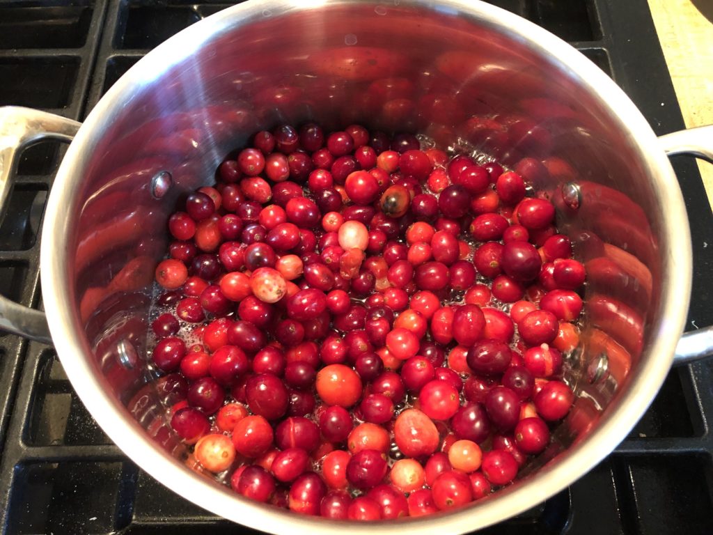Cranberries & Pecans in Sherry | Teton Trekker