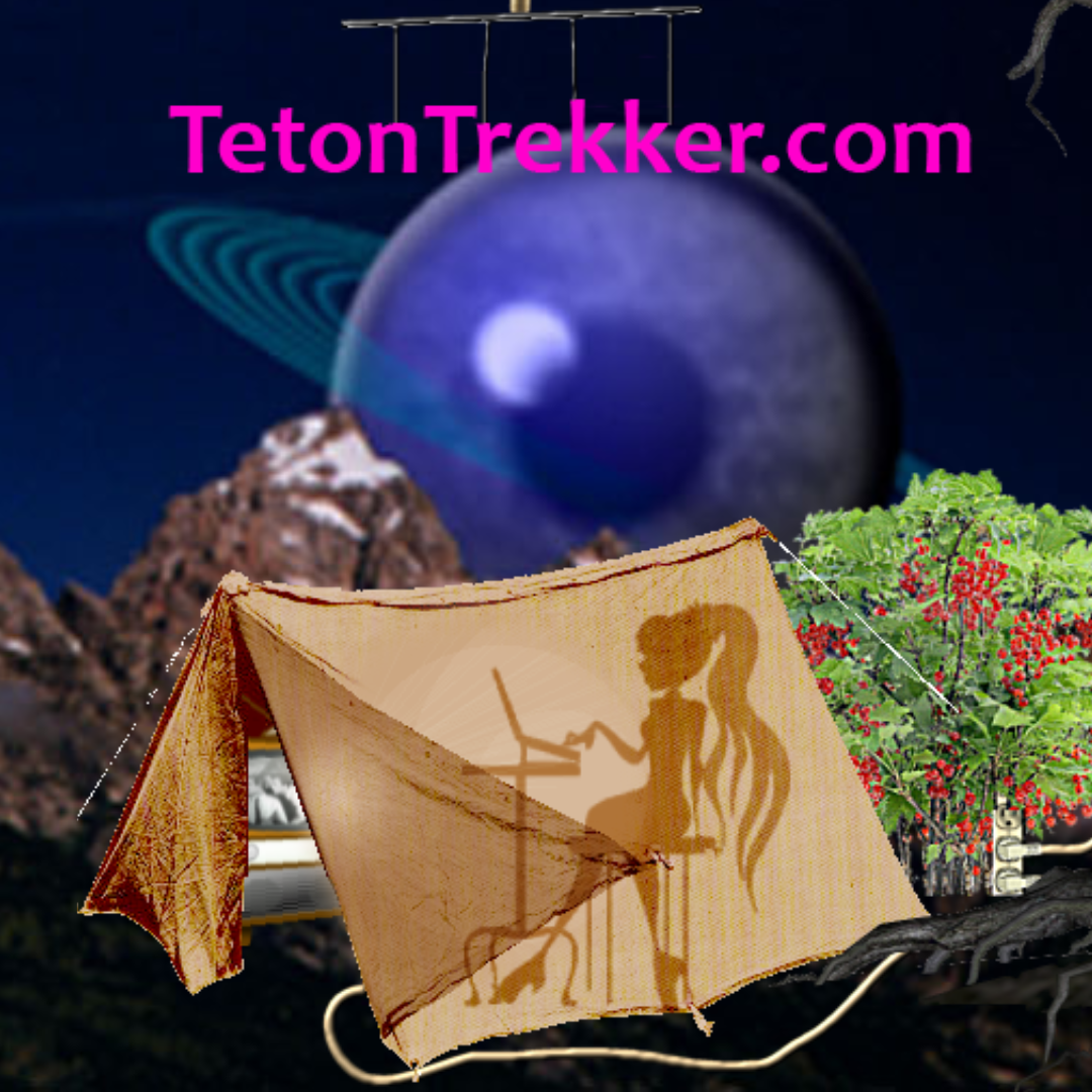 TetonTrekker's World Visit my Etsy Store